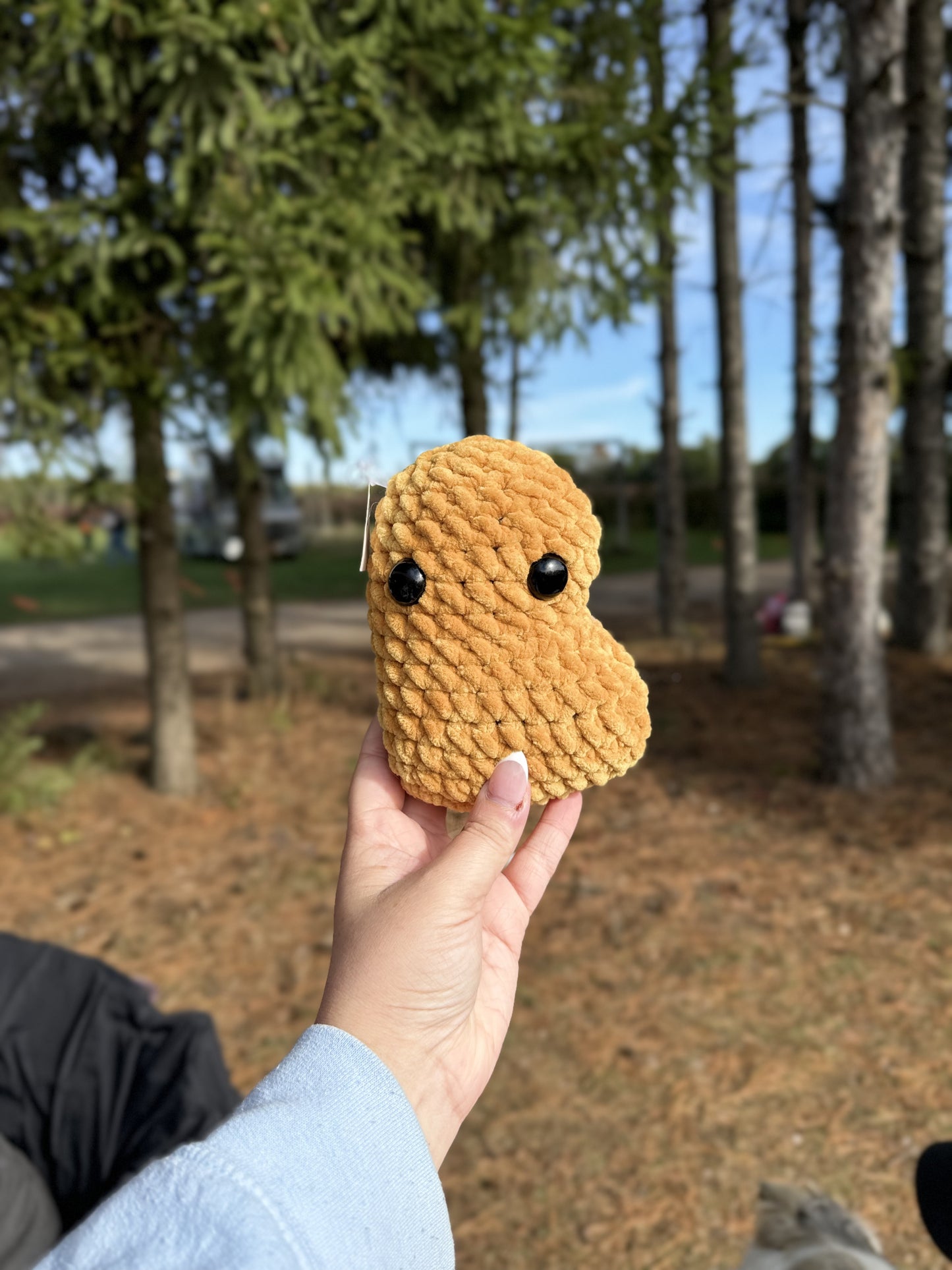 Chicken Nugget