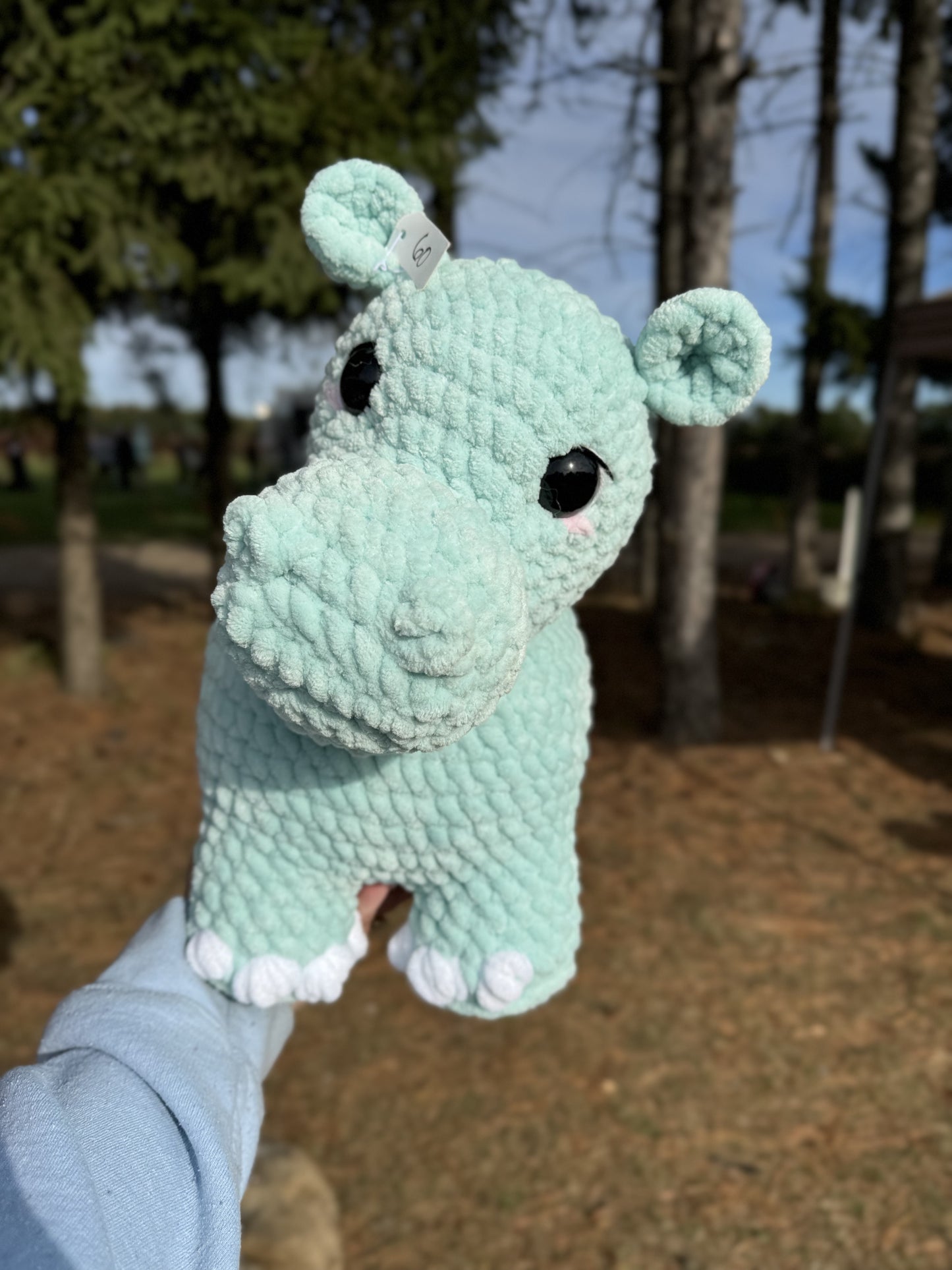Large Hippo