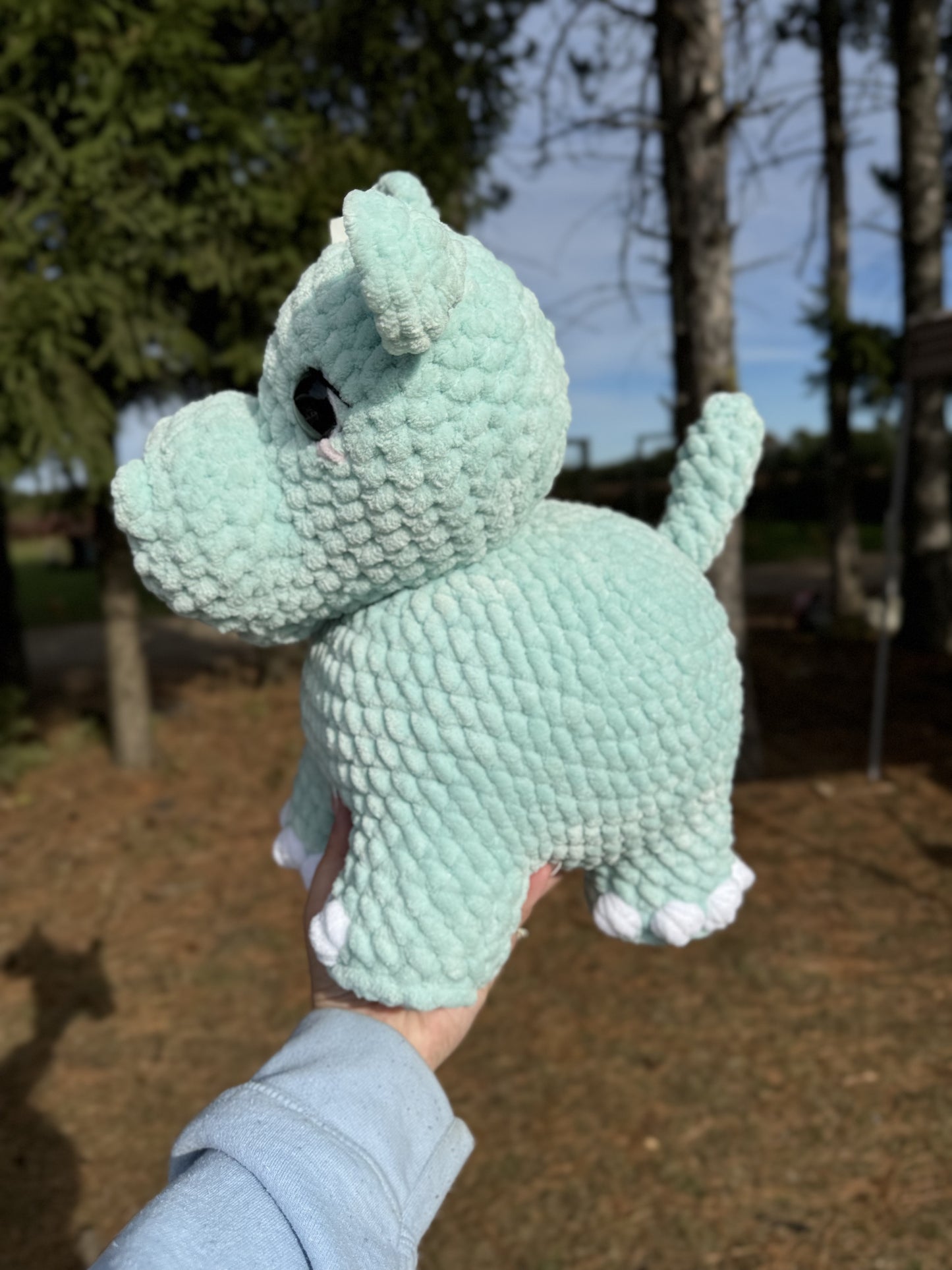 Large Hippo